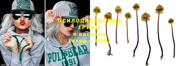 кокс Баксан