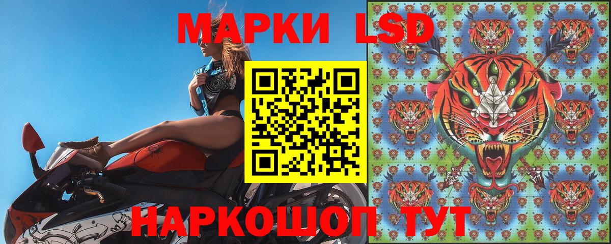 Марки N-bome 1,5мг  продажа наркотиков  Наркотические марки  Сегежа  Вход с VPN 
