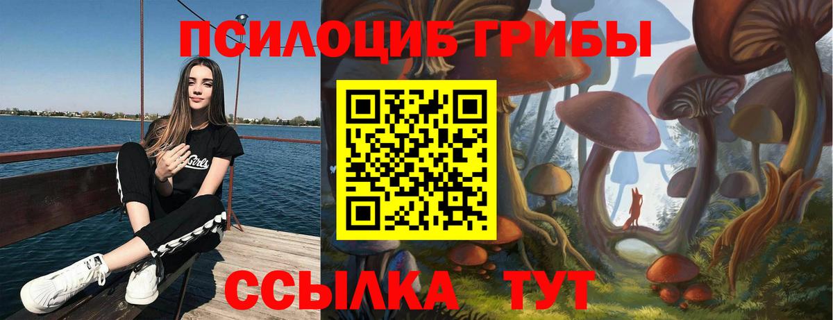 Сегежа  Псилоцибиновые грибы GOLDEN TEACHER  Вход с VPN 