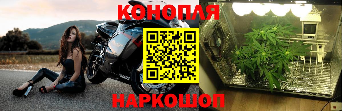 МАРИХУАНА Bruce Banner  Конопля планчик  Вход с VPN  Сегежа  Бошки Шишки планчик 